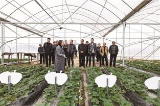 奉化举办农产品深加工交流活动 18位吉林种植户参与