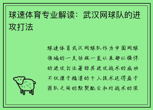 球速体育专业解读：武汉网球队的进攻打法