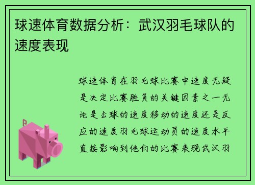 球速体育数据分析：武汉羽毛球队的速度表现
